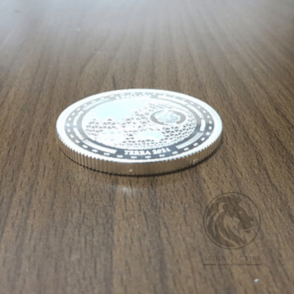 Moneda-argint-pur-31-grame-Terra-lingouri-argint-monede-argint-pur-investitii-metale-pretioase-educatie-financiara